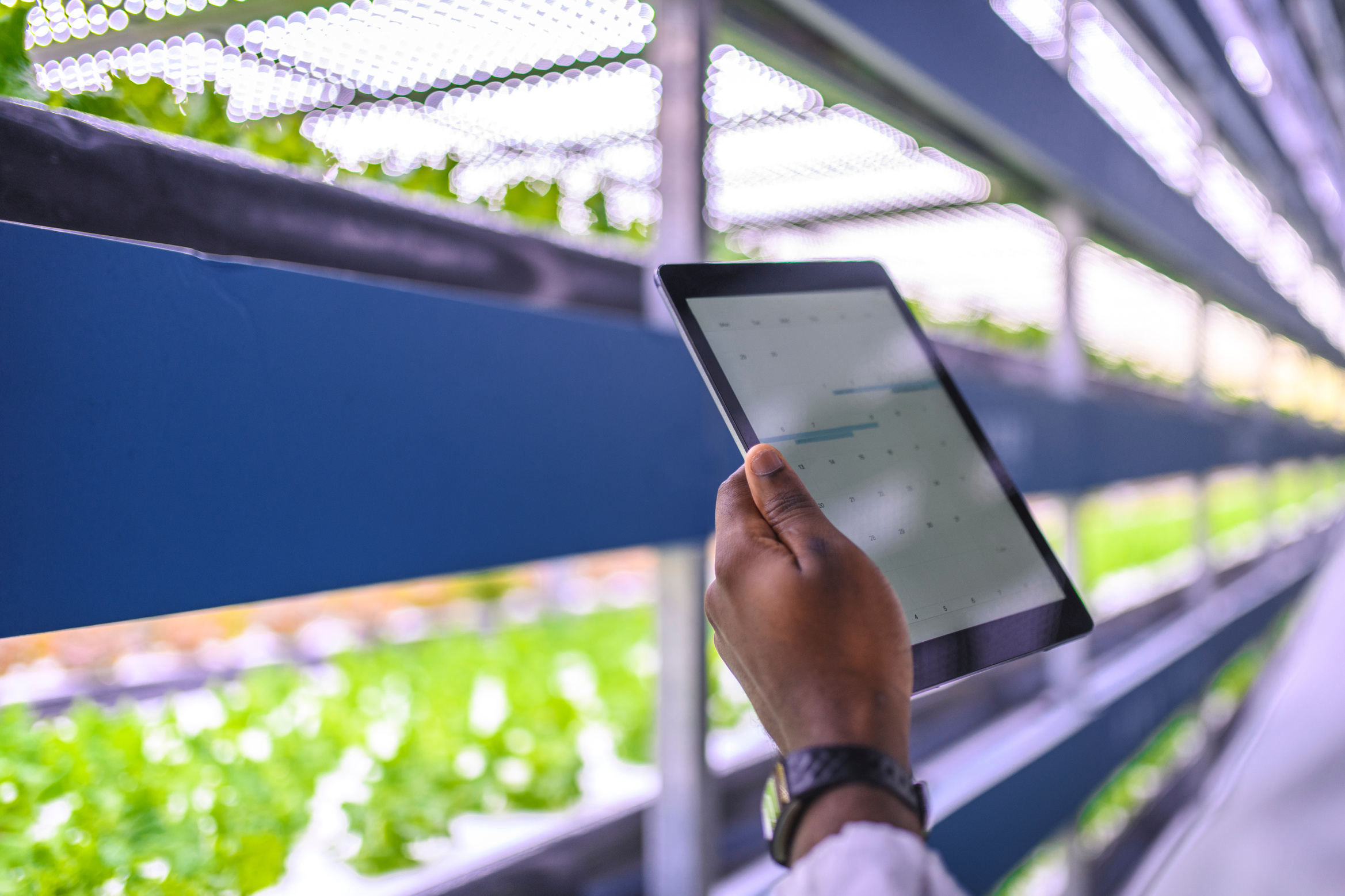 African Ag-Tech Specialist Monitoring Indoor Farm Crops